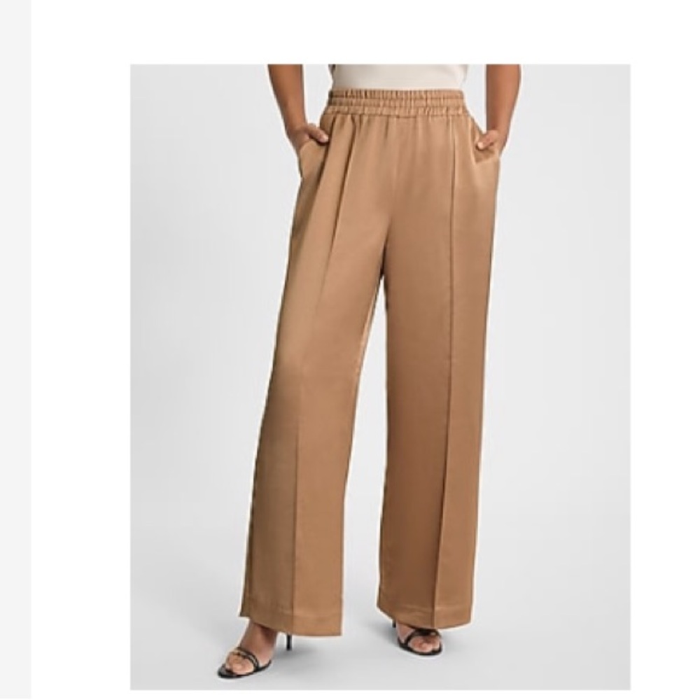 Express Tan Wide Leg Pants
